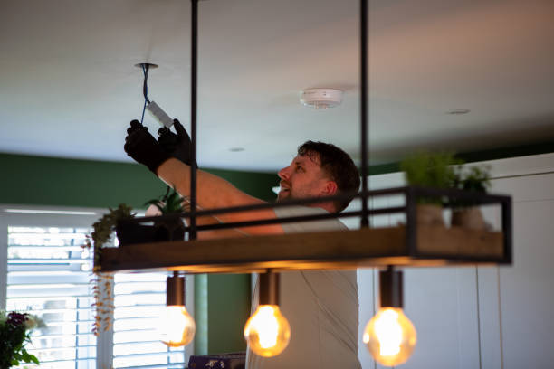 Best Outdoor Lighting Installation  in Fennville, MI