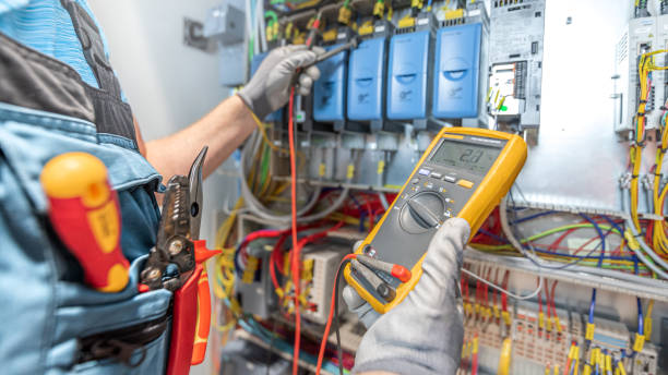 Best Licensed Electrician  in Fennville, MI