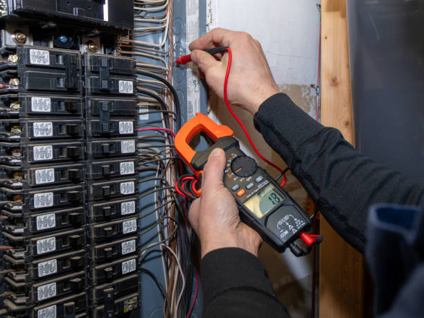 Best 24-Hour Electrician  in Fennville, MI